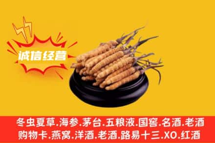 路南区回收冬虫夏草